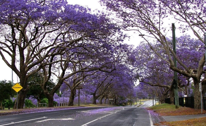 Greater Brisbane Property Grab: Ipswich Suburbs to Add to Your Portfolio Greater Brisbane Property Grab: Ipswich Suburbs to Add to Your Portfolio